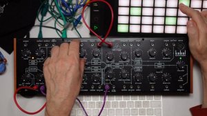 Behringer KOBOL: Analogue Drums Tutorial (Live!)