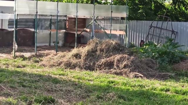 Не хозяйство, а ЗООПАРК? Ждём охоты у коровы и Козы/ Теплица/ Сеновал. смотреть онлайн