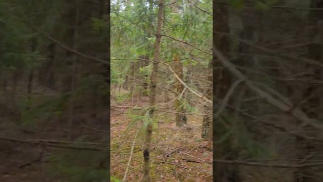 А ВДРУГ БЫ ОН ПРИШЁЛ СЕГОДНЯ...🙏🥺✌️❤️ смотреть онлайн