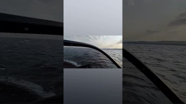 триера 390 под 30мотором смотреть онлайн