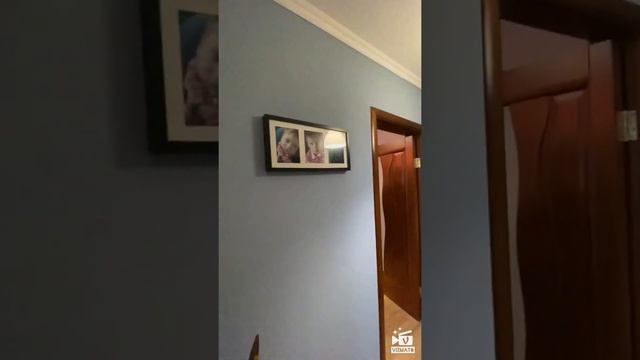 Город Домодедово улица Набережная дом 16/1. Продаётся 1-комнатная квартира общей площадью 38м. смотреть онлайн