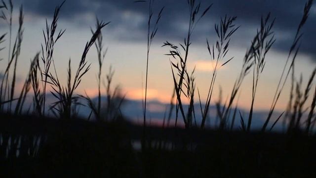 Это стихотворение поднимет вам настроение, поможет расслабиться и подумать. Стих 20 смотреть онлайн