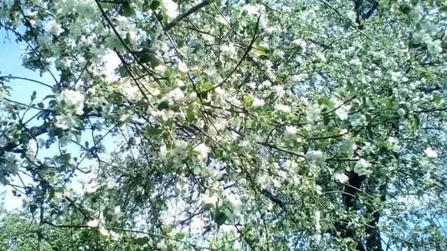 Христианские стихи с очень глубоким смыслом. смотреть онлайн