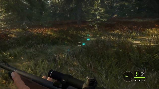 медведь и олень менее, чем за 15 минут. Игра The Hunter: Call of the Wild смотреть онлайн