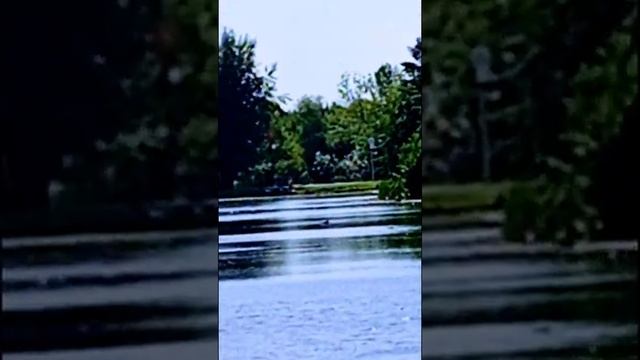 16 августа 2022 г.?☀Лето, качели смотреть онлайн