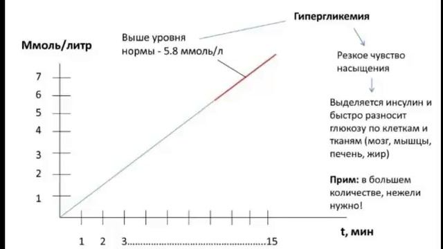 Быстрые тренировки для сжигания калорий