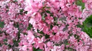 Ловец снов 1 - 16 серии (сериал 2021)