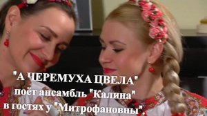 «А ЧЕРЕМУХА ЦВЕЛА» поёт ансамбль «Калина» в гостях у «Митрофановны».