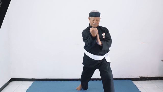 How to learn pencak silat | Basic Silat Techniques PART 1 смотреть онлайн
