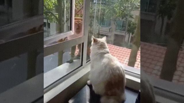 Незваный гость смотреть онлайн