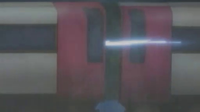 Rammstein - Hellsing - Hallelujah (AMV)