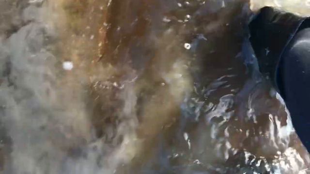 Riding heel boots in water 01 смотреть онлайн