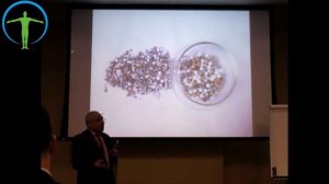 Вода и наш организм. Лекция профессора Хачатряна