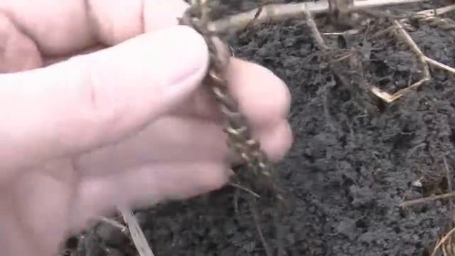 В поисках клада(СЕРЕБРО, ШУРФ, СКЛАДЕНЬ) смотреть онлайн