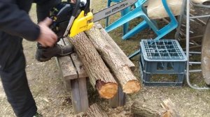 Бюджетная бензопила Champion 240-16