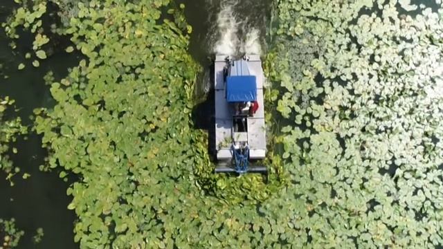 Машина-амфібія чистить пляж на житловому масиві Червоний Камінь у Дніпрі. смотреть онлайн