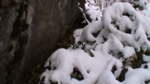 _20_01_2011_ОКУМ_КОМАНДИРОВКА _.mp4 смотреть онлайн