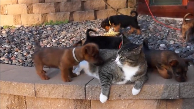 Терпение - великая сила ;)) смотреть онлайн