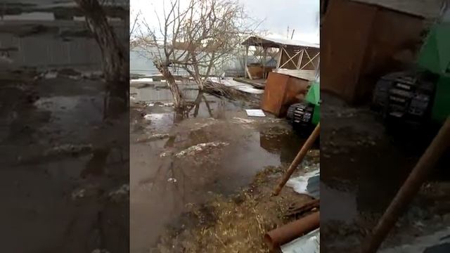 Гусеничный вездеход Никанор первый выезд смотреть онлайн