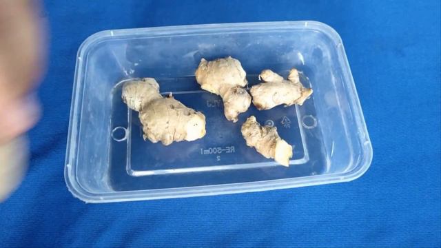 Імбир - знайомий незнайомець. Де росте, чим корисний і як виростити вдома.