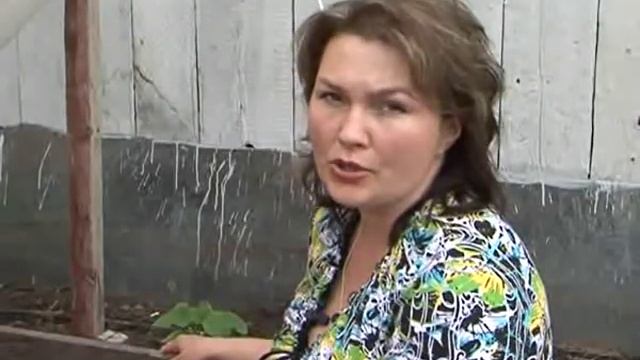 Как помочь растениям справится с вредителями?