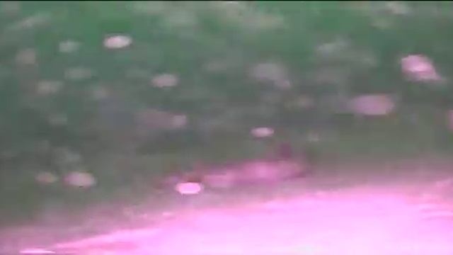 23 февраля, кусочек подводной съемки Гертнера смотреть онлайн