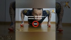 Упоры боксёрские X1-PRO для отжиманий, статики и вкручивания рук