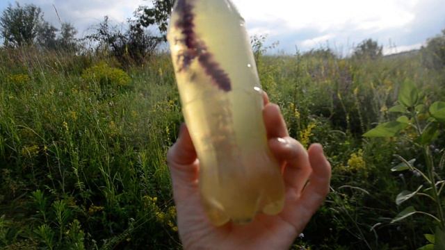 Вода медовая с шалфеем смотреть онлайн