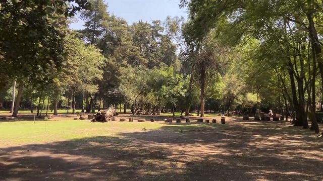 Жизнь в Мехико 2023, Здоровый образ жизни, Спорт, Парки, Танцы с русским, Фиделе Раста! смотреть онлайн