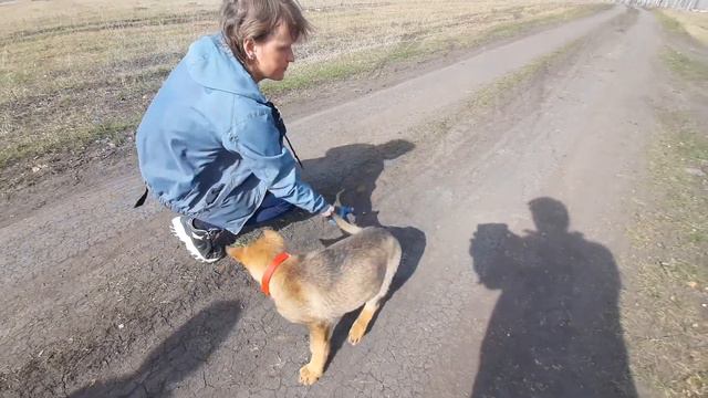 шишки смотреть онлайн