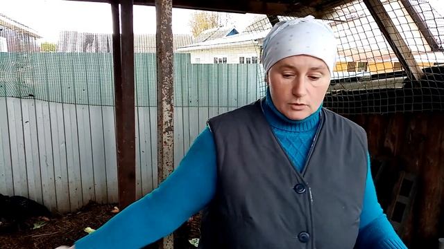 Что делать, чтобы куры не жирели. смотреть онлайн