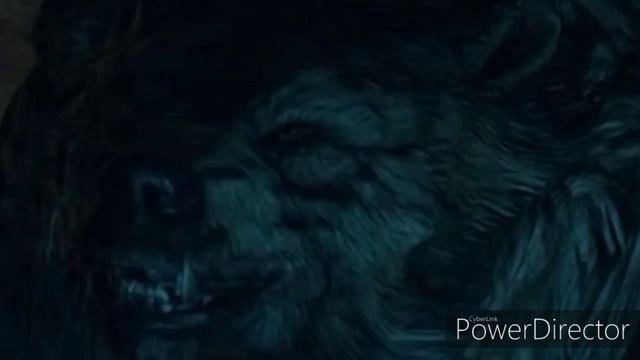 (Sonic X Camping Chaos 2025) The Grizzly Bear's Roar 2# смотреть онлайн