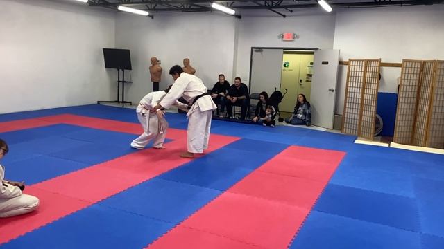 Practical: Heian Pinan Sandan Bunkai #karate #martialart #karatespirit #shotokankarate #mma смотреть онлайн