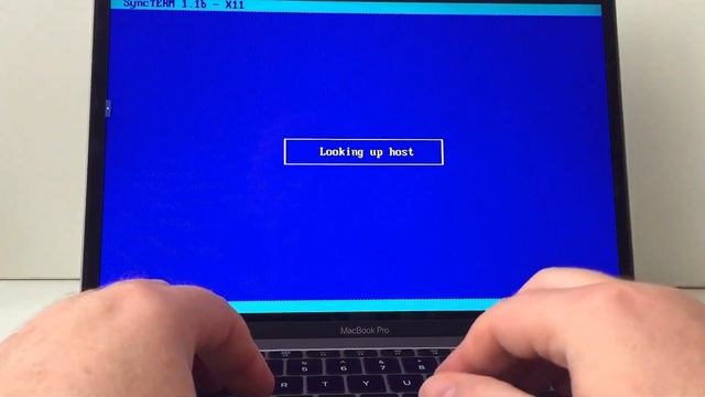 Downloading files from telnet BBS via SyncTERM Web Service смотреть онлайн