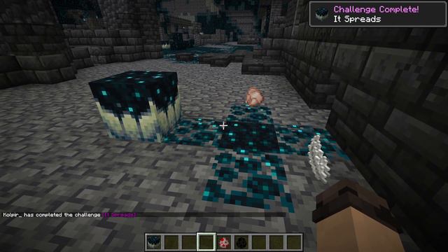 TOT CE TREBUIE SA STII DESPRE Minecraft 1.19 - The Wild Update! смотреть онлайн
