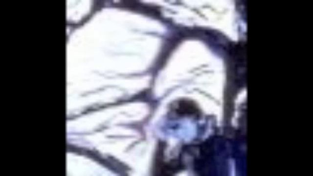 Winterreise (Winter's Journey) - Der greise Kopf (The Grey Head) смотреть онлайн