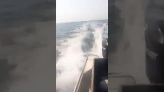 На Катере Меркурий 200 смотреть онлайн