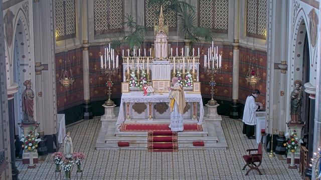 FSSPX Antwerpen - 17/08 H. Mis H. Hyacinthus