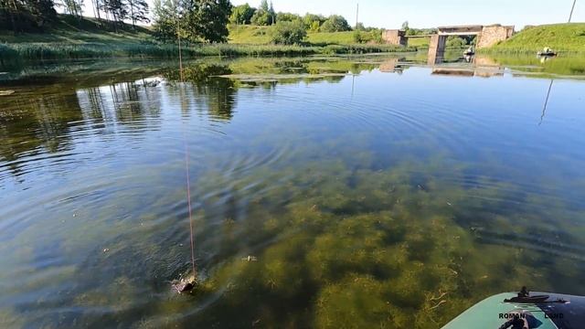 КАРАСИ И ЛИНИ ГНУТ УДОЧКУ В ДУГУ !!! ЛОВЛЯ КРУПНОГО КАРАСЯ И ЛИНЯ . БОКОВОЙ КИВОК 2021. смотреть онлайн