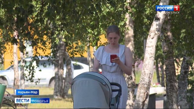 Необычайно жаркая погода установилась на побережье Северного Ледовитого океана смотреть онлайн