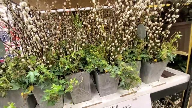 КУСОК САЛА подарил жене на день рождения. Обзор магазина Costco смотреть онлайн