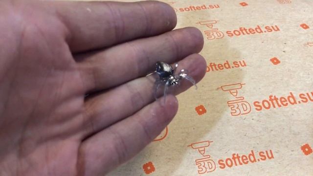 #3D печать паука # 3Д печать на заказ #softed.su 3Д печать пауков на фотополимерном 3D принтере