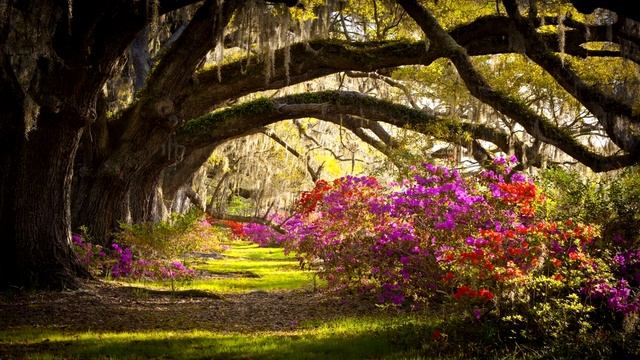 КАК ИЗБАВИТЬСЯ ОТ УНЫНИЯ смотреть онлайн