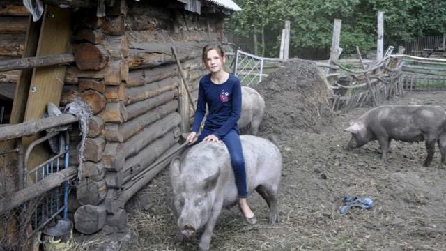 Walks On Animals  Прогулки верхом