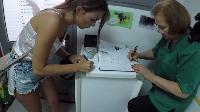 25State на отдыхе или как вывезти кота из Туниса. смотреть онлайн