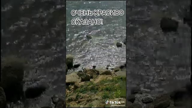 Никогда, ни о чём, не сожалей... смотреть онлайн