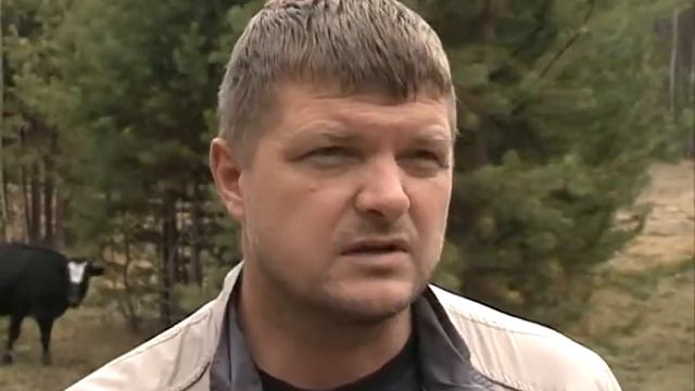 Из поселка в село смотреть онлайн