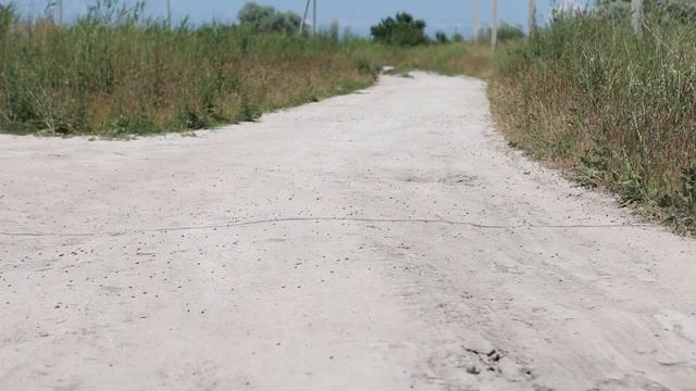 В Приморско-Ахтарском районе обнаружили азиатскую саранчу. смотреть онлайн