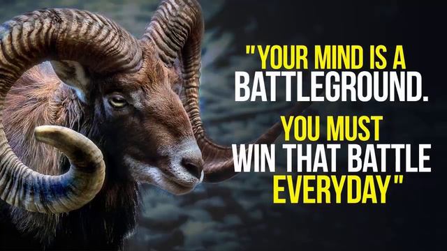 TD JAKES I WILL MAKE IT HAPPEN - Joel Osteen Td Jakes Joyce Meyer Powerful Motivation 2022 #tdjakes смотреть онлайн