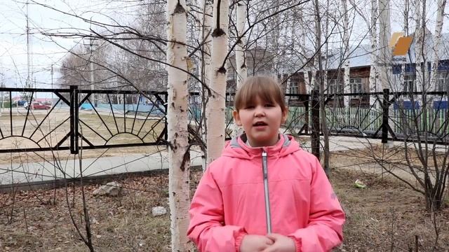 Стихотворение с. Васильева "Я помню ранило березу" смотреть онлайн